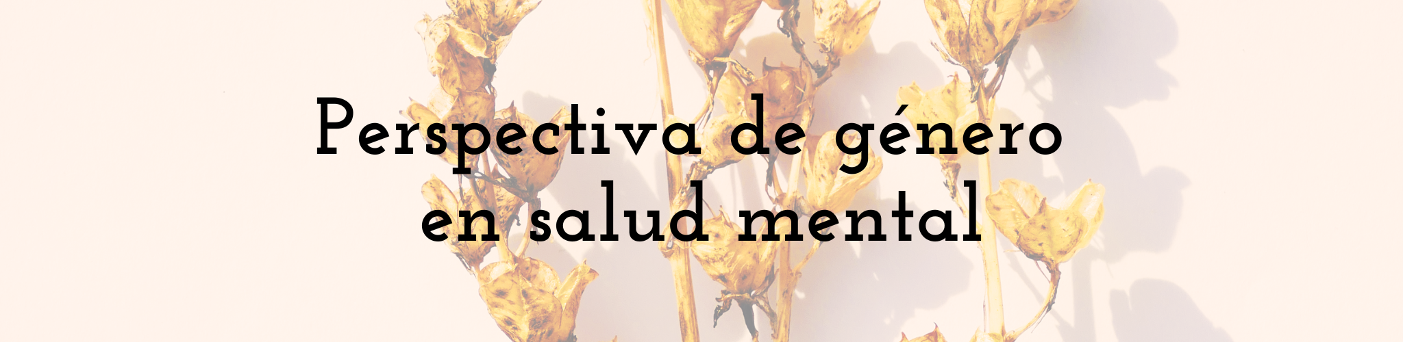 Pespectiva de género en Salud Mental